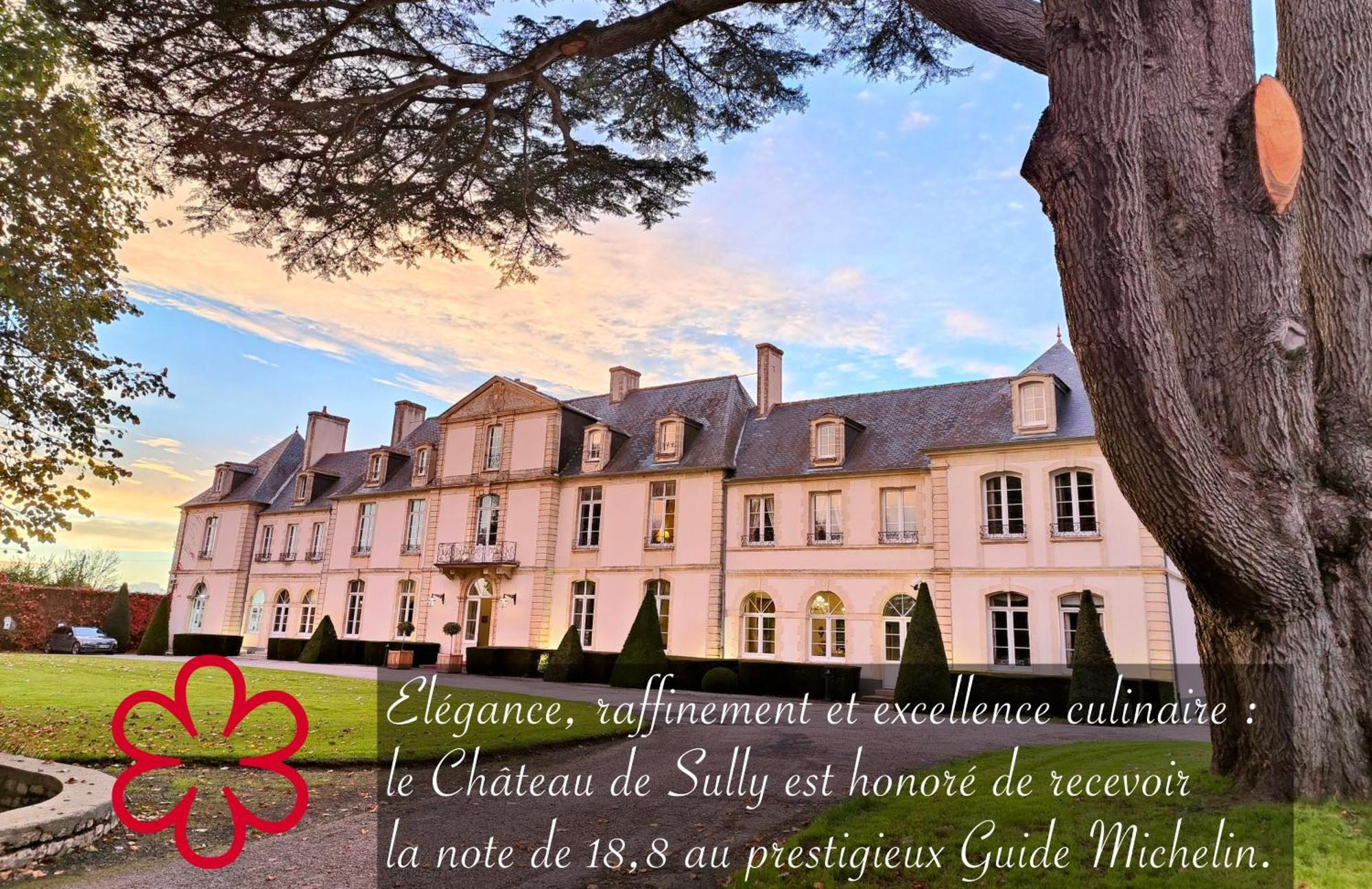 Grand Hotel "Chateau De Sully" - Piscine & Spa -Teritoria Luaran gambar